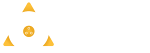 شركة الإسطول الآلي